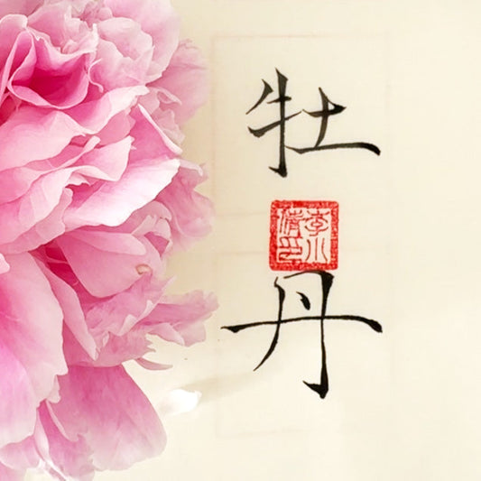Les styles de calligraphie chinoise : un voyage à travers le trait - HanWen Shop