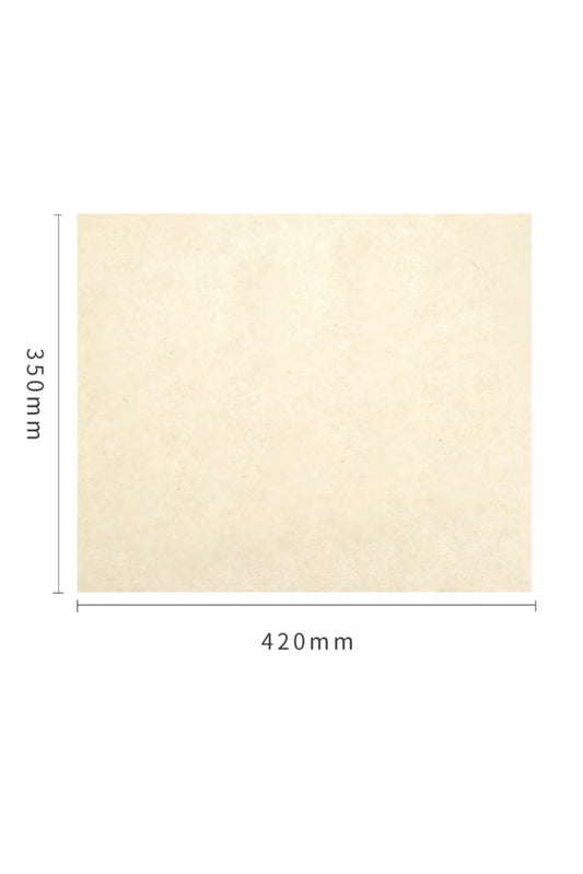 Papier Xuan de chinois traditionnel - Papier d’aile de cigale - HanWen Shop