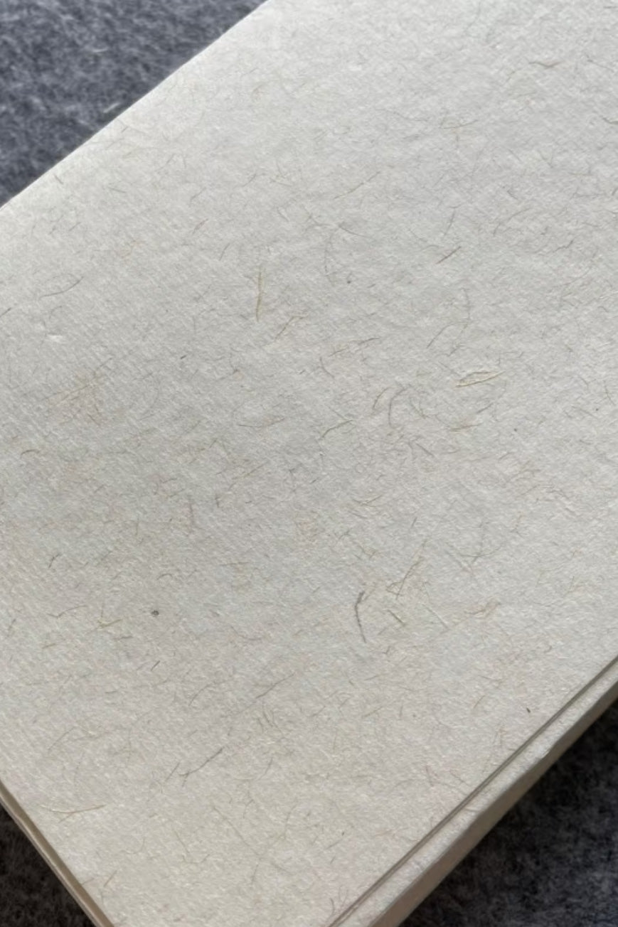 Papier Xuan de chinois traditionnel en ramie