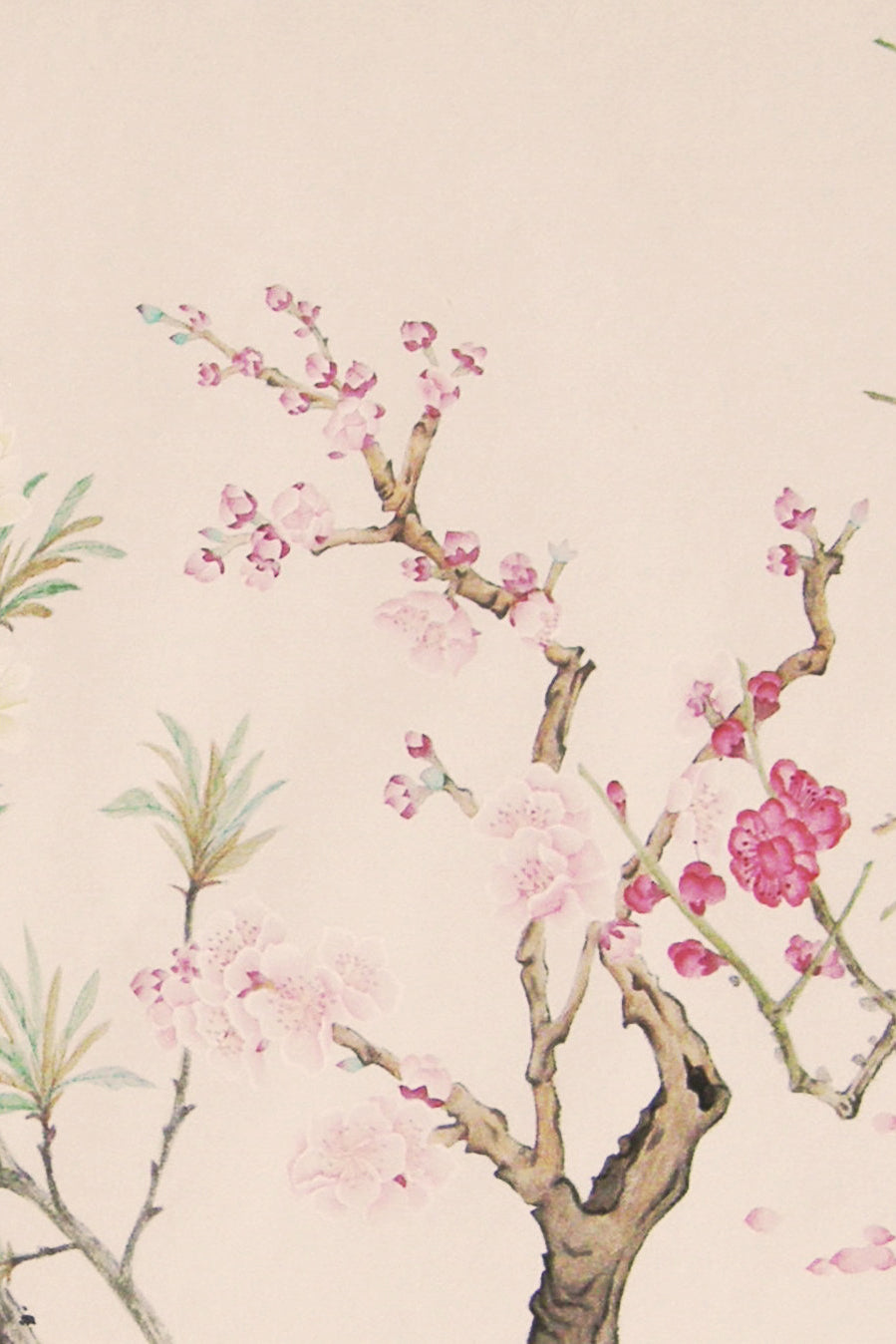 Peinture chinoise en style Gongbi - Les douze fleurs des mois - HanWen Shop