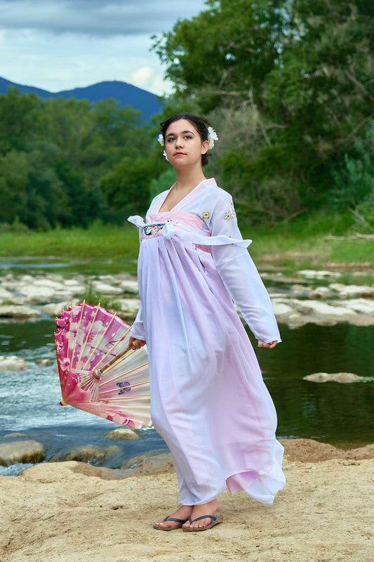 Ensemble Hanfu de la dynastie Tang 唐 - Robe "Qixiong Ruqun" fleur de prunier - HanWen Shop