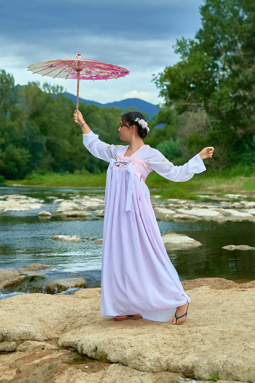 Ensemble Hanfu de la dynastie Tang 唐 - Robe "Qixiong Ruqun" fleur de prunier - HanWen Shop