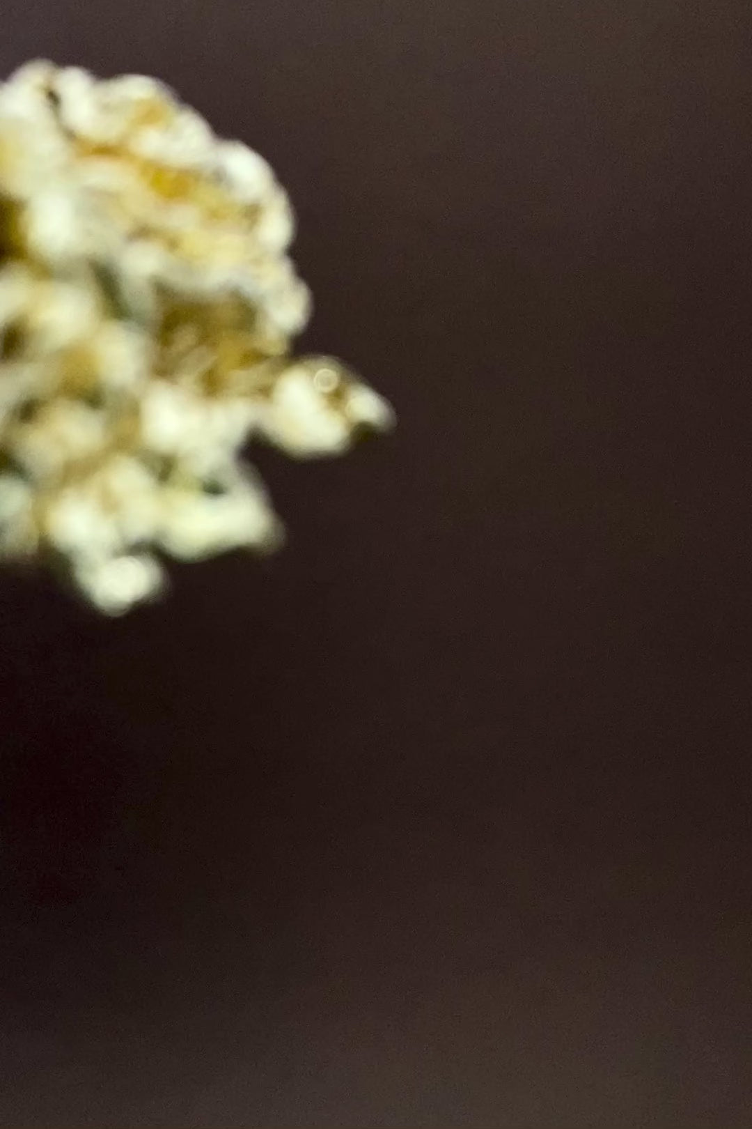 Épingle à cheveux dorée avec les fleurs représentant les douze mois vidéo
