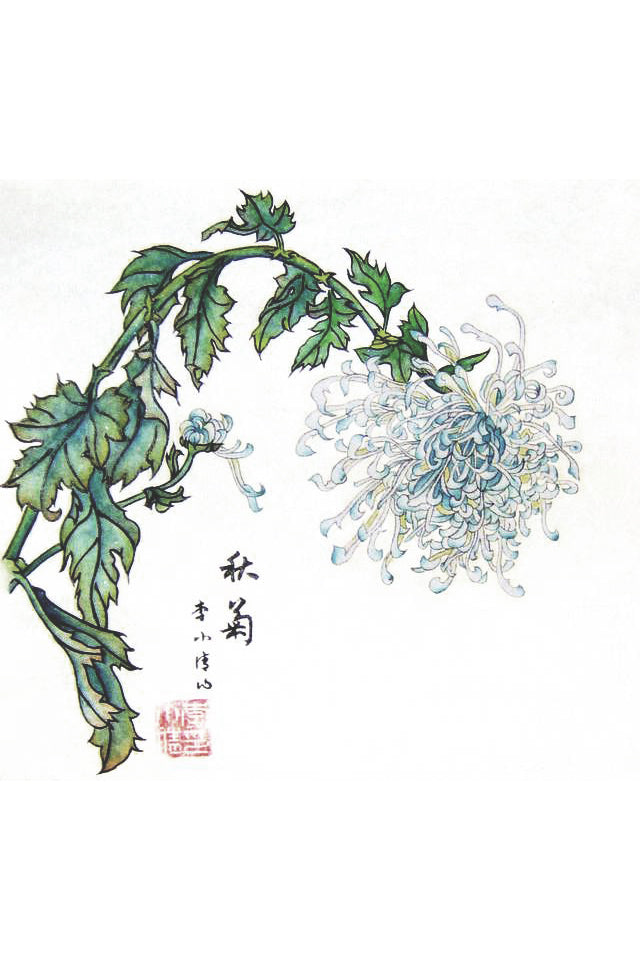 Peinture chinoise en style Gongbi - Chrysanthème bleu - HanWen Shop
