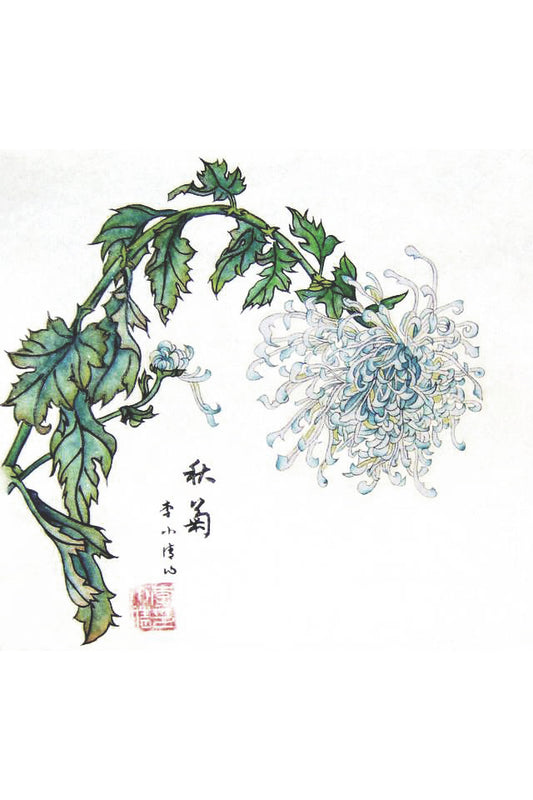 Peinture chinoise en style Gongbi - Chrysanthème bleu - HanWen Shop