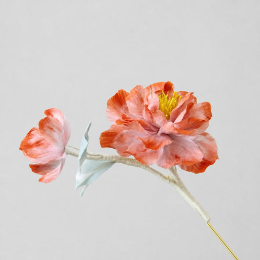 L’Art Ancestral de la Fleur de Velours (Ronghua)