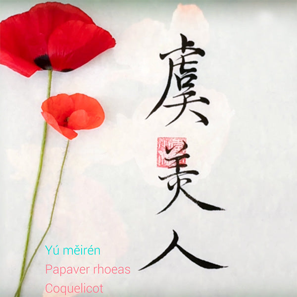 Fleurs et calligraphie chinoise