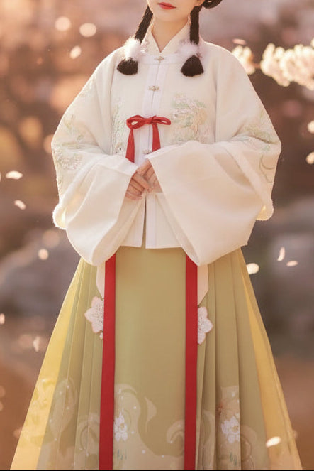 Ensemble Hanfu de la dynastie Ming 明 - Petit tigre hiver - HanWen Shop