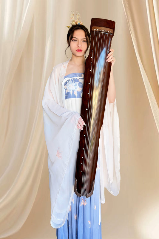 Ensemble Hanfu de la dynastie Tang 唐 - Robe "HeZi Qun" papillons