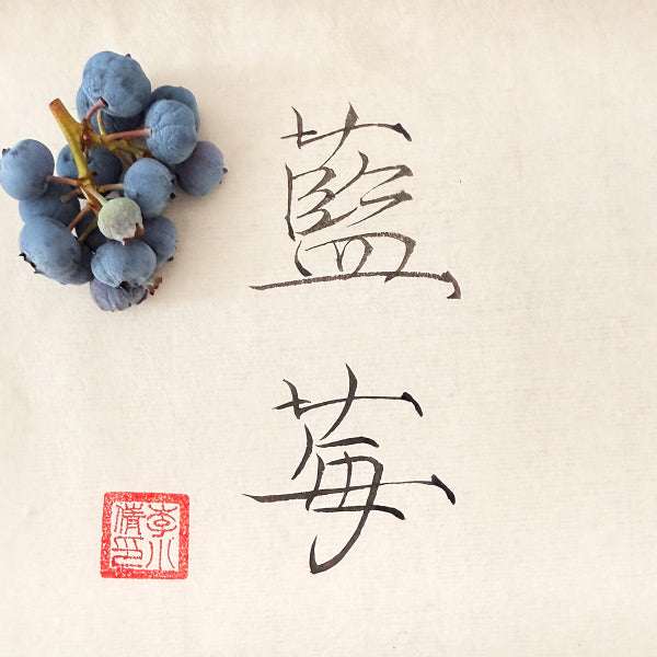 Fleurs et calligraphie chinoise à découvrir en vidéo