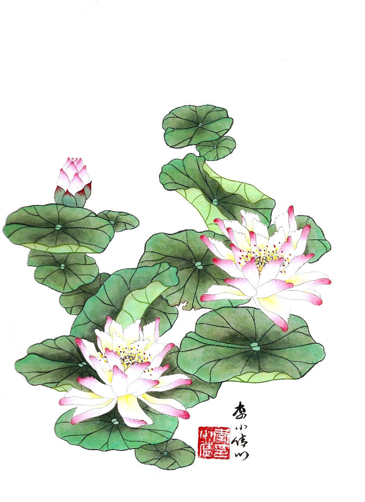 Li Xiaoqian -Improved Flowers-lotus