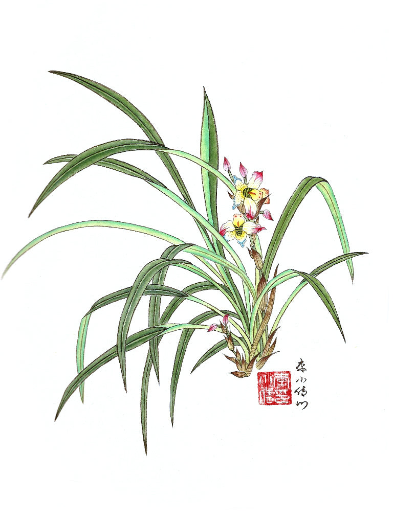 Li Xiaoqian -Improved Flowers-orchidée