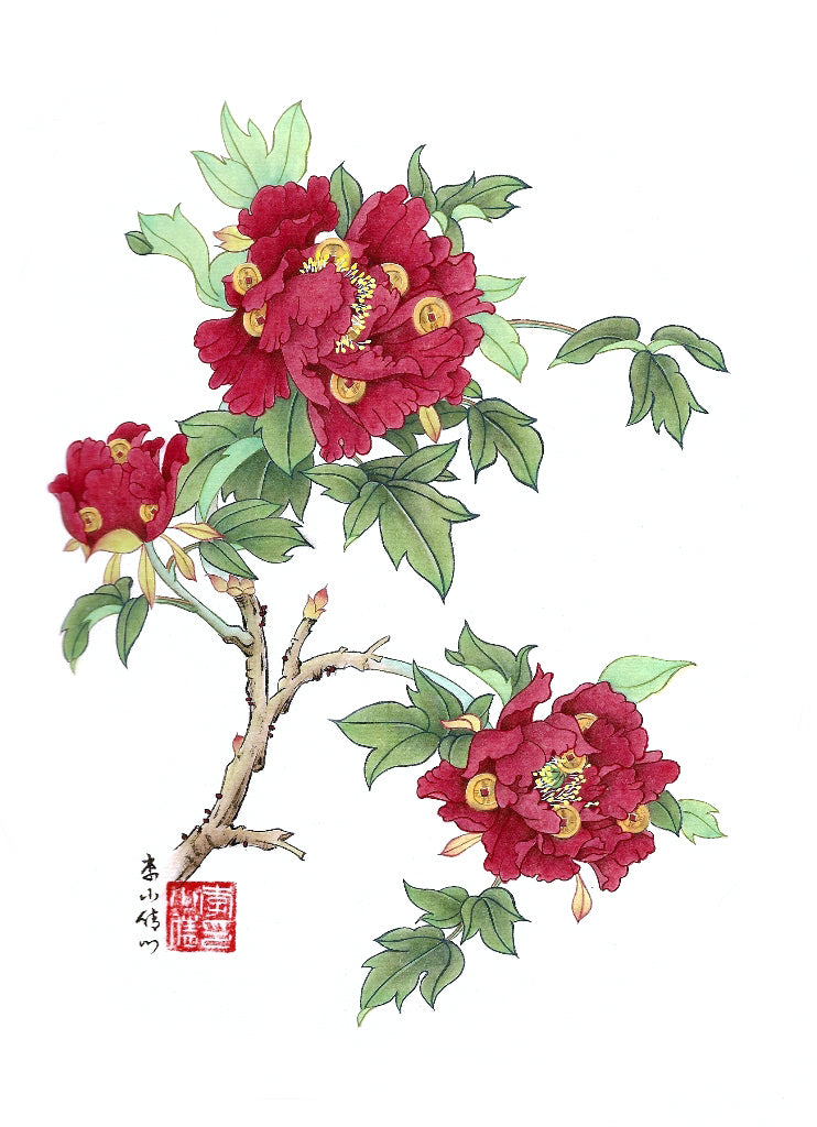 Li Xiaoqian - Improved Flowers-pivoine