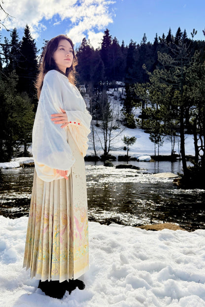 Mamian Qun du Hanfu de la dynastie Ming - Jupe Grand Poisson "Kunpeng" - HanWen Shop