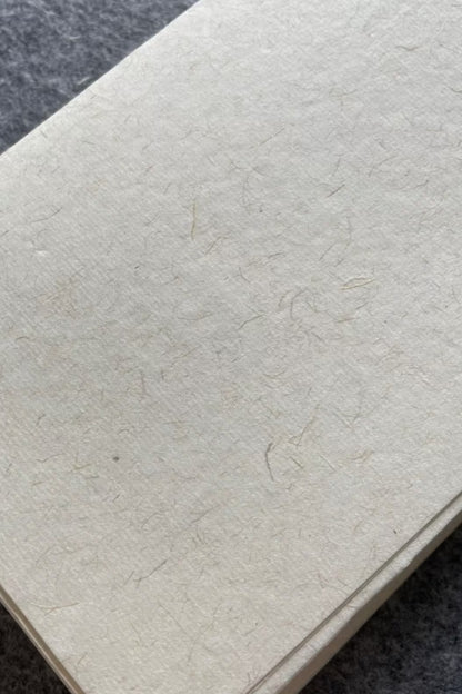 Papier Xuan de chinois traditionnel en ramie