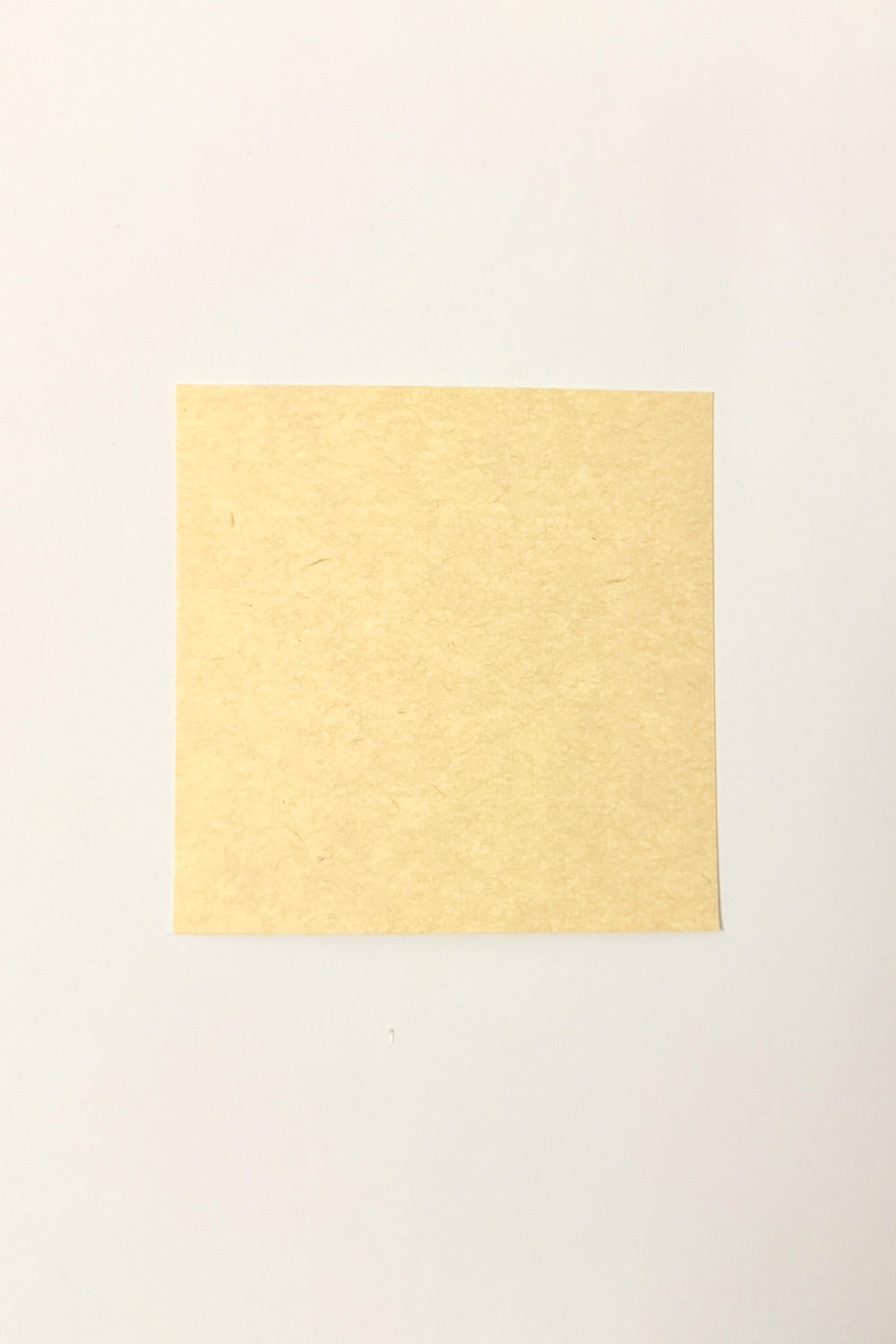 Papier Xuan en fibres de mûrier avec cartonné épaissi - Mini - HanWn Shop