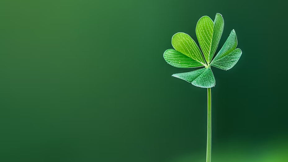 Les 24 périodes solaires chinoises-Printemps