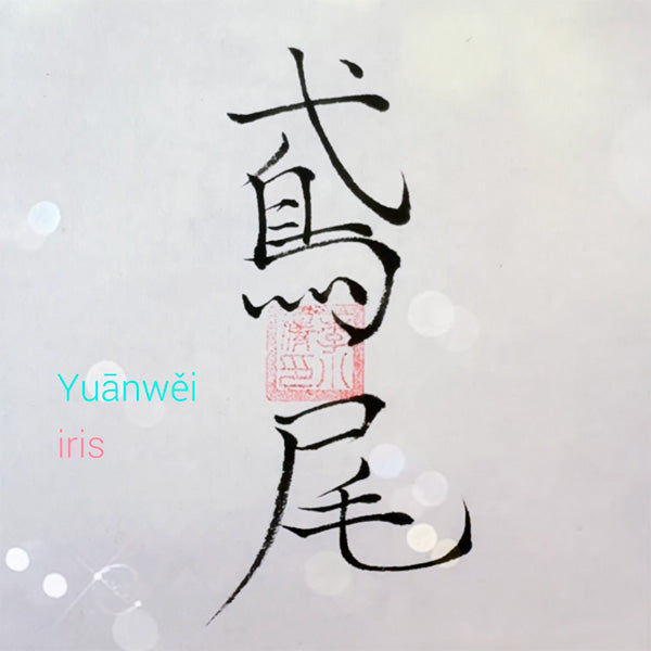 Fleurs et calligraphie chinoise - iris