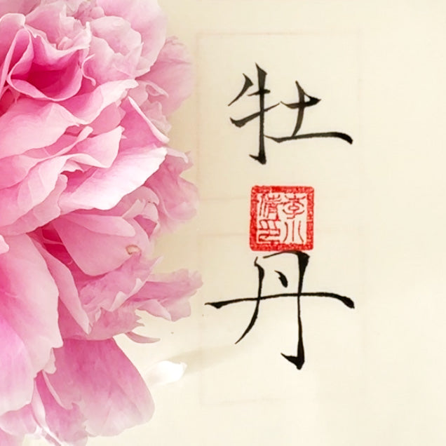 Fleurs et calligraphie chinoise à découvrir en vidéo