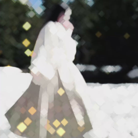 Mamian Qun du Hanfu de la dynastie Ming - Jupe Grand Poisson "Kunpeng"