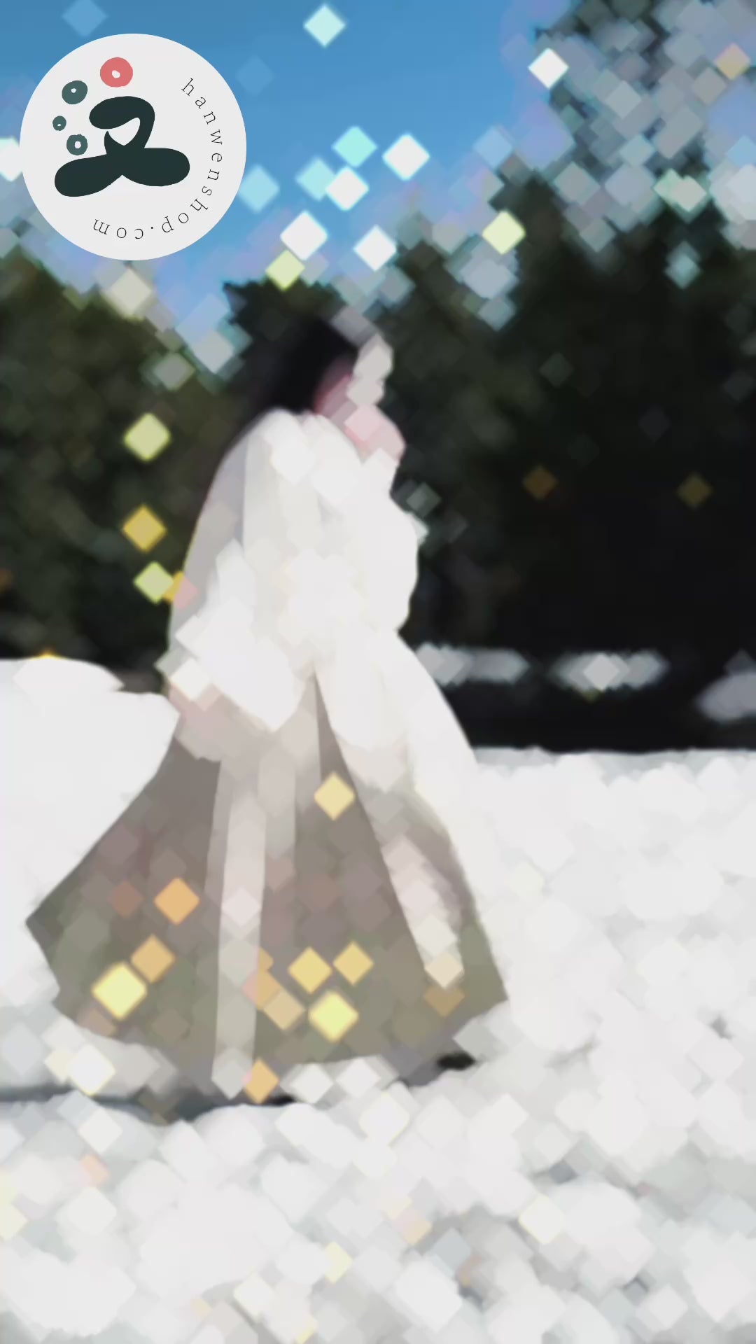 Mamian Qun du Hanfu de la dynastie Ming - Jupe Grand Poisson "Kunpeng"